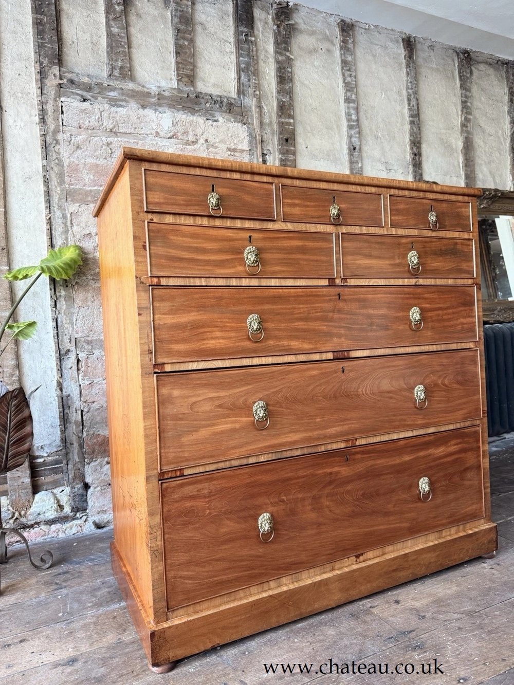 Original Rare Antique Large Crossbanded Lions Heads Chest Of Drawers C 1800's