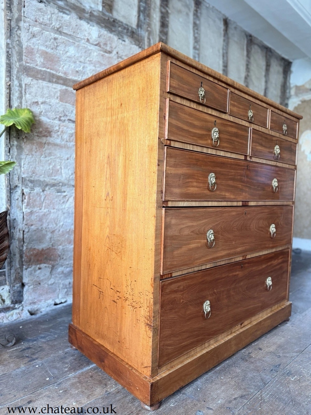 Original Rare Antique Large Crossbanded Lions Heads Chest Of Drawers C 1800's