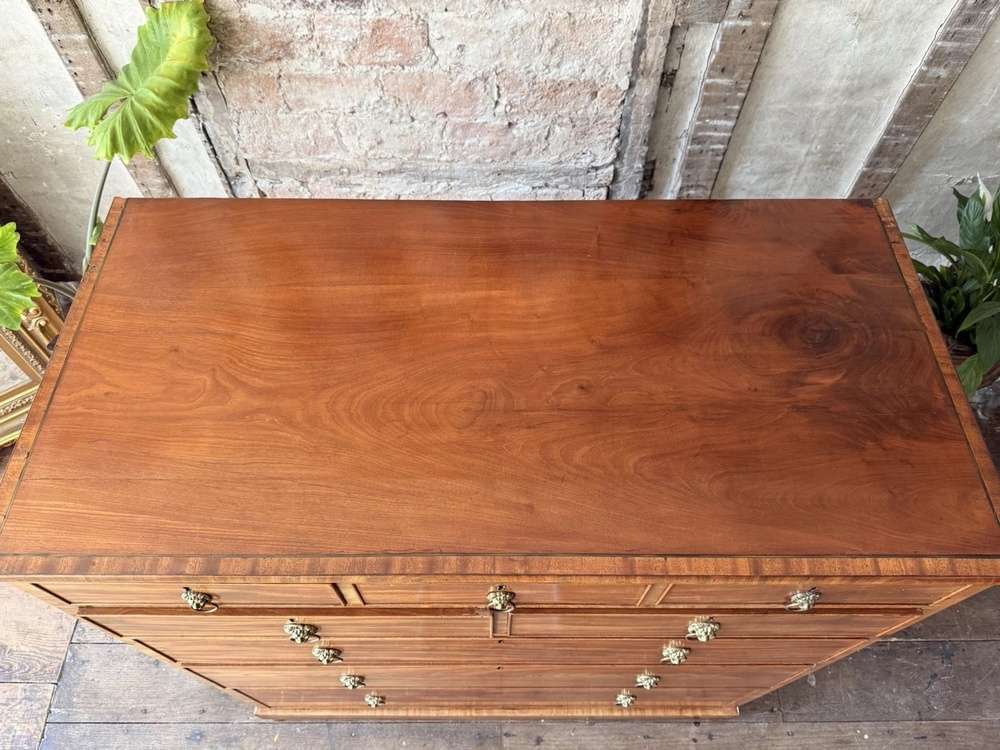 Original Rare Antique Large Crossbanded Lions Heads Chest Of Drawers C 1800's